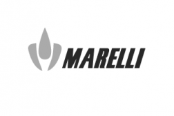 Marelli