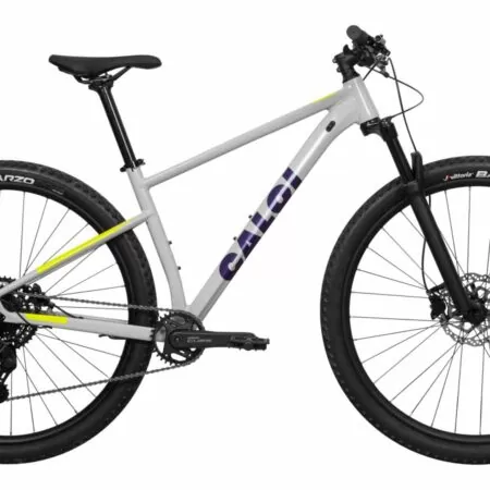 Bicicleta Caloi Explorer Comp Aro 29 Susp. Dianteira 18 Marchas - Azul/preto